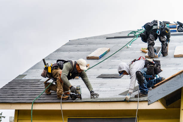Professional Gutter Installation technician working in West Alton, MO